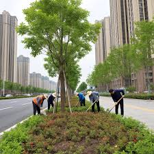 2026美加墨世界杯官网 个旧园林绿化工程施工手续
